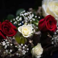 Julie RENAUT - SOUS NOS YEUX