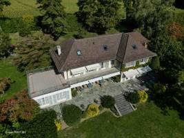 LIONEL TISSOT-BEZ - Lynko VR